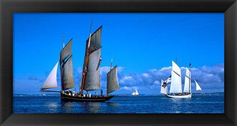 Framed Tall ship regatta featuring Cancalaise and Granvillaise, Baie De Douarnenez, Finistere, Brittany, France Print