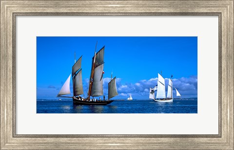 Framed Tall ship regatta featuring Cancalaise and Granvillaise, Baie De Douarnenez, Finistere, Brittany, France Print