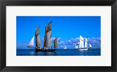 Framed Tall ship regatta featuring Cancalaise and Granvillaise, Baie De Douarnenez, Finistere, Brittany, France Print