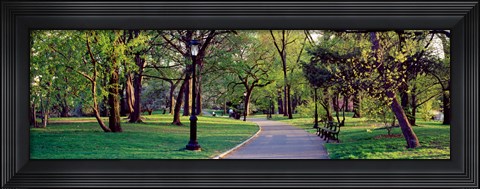 Framed Trees in a public park, Central Park, Manhattan, New York City, New York State, USA Print
