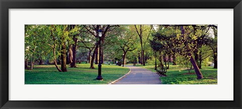 Framed Trees in a public park, Central Park, Manhattan, New York City, New York State, USA Print