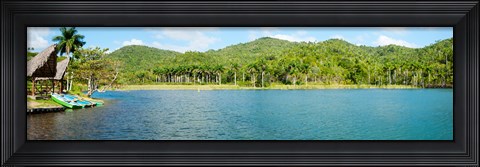 Framed Trees on a hill, Las Terrazas, Pinar Del Rio Province, Cuba Print