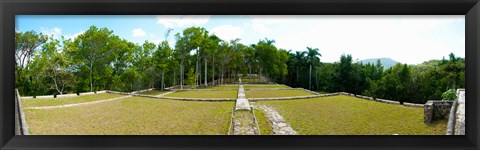 Framed Former coffee farm, Buena Vista, Las Terrazas, Pinar Del Rio Province, Cuba Print