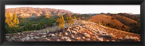 Framed Arkaba Station at sunset, Flinders Ranges, South Australia, Australia Print