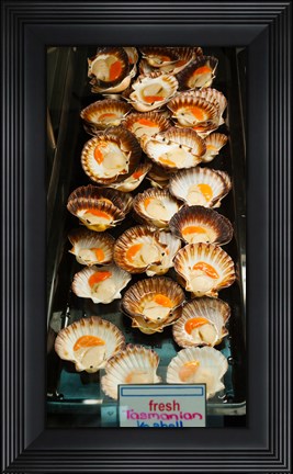 Framed Tasmanian oysters for sell in the Central Market, Adelaide, South Australia, Australia Print