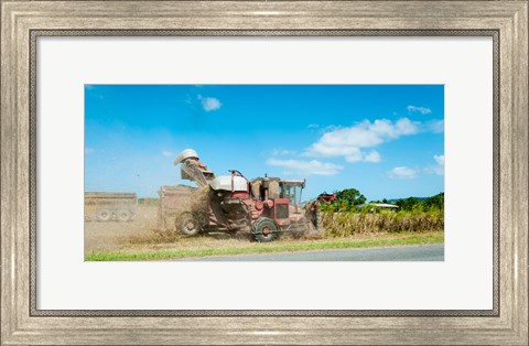 Framed Sugar Cane being harvested, Lower Daintree, Queensland, Australia Print