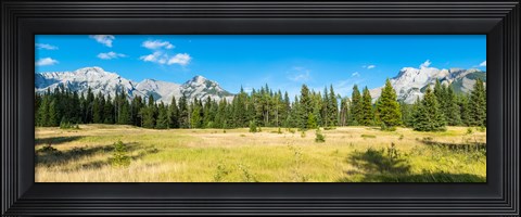 Framed Trees with mountain range in the background, Banff National Park, Alberta, Canada Print