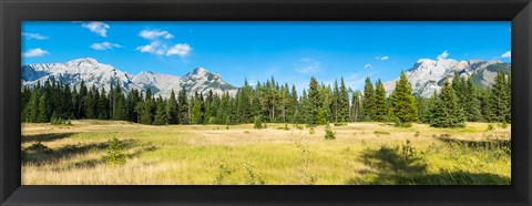 Framed Trees with mountain range in the background, Banff National Park, Alberta, Canada Print