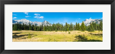 Framed Trees with mountain range in the background, Banff National Park, Alberta, Canada Print