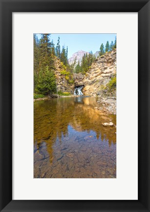 Framed Flowing stream in a forest, Banff National Park, Alberta, Canada Print