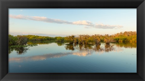 Framed Anhinga Trail, Everglades National Park, Florida Print