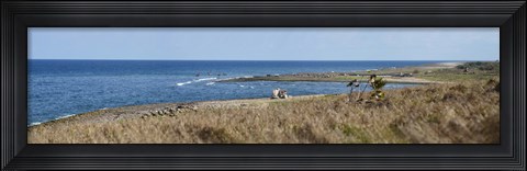 Framed Grass on the beach, Havana, Cuba Print