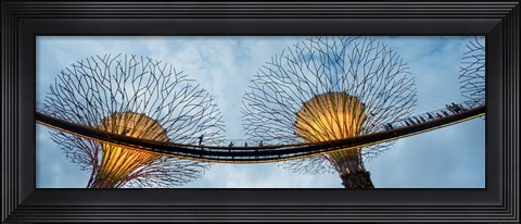 Framed Elevated walkway among Supertrees, Gardens by the Bay, Singapore Print
