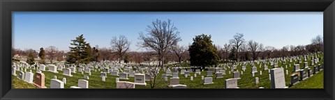 Framed Tombstones in a cemetery, Arlington National Cemetery, Arlington, Virginia, USA Print