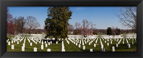 Framed Headstones in a cemetery, Arlington National Cemetery, Arlington, Virginia, USA Print