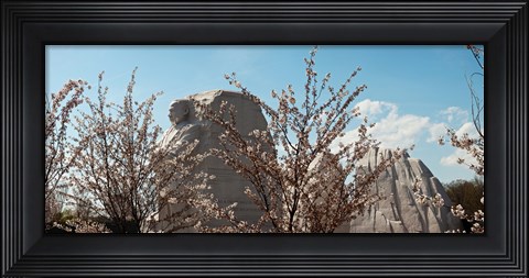 Framed Cherry trees in front of a memorial, Martin Luther King Jr. National Memorial, Washington DC, USA Print