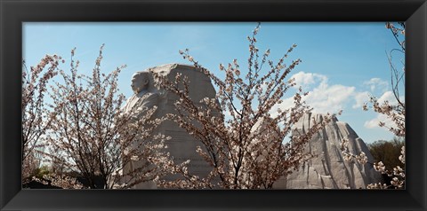 Framed Cherry trees in front of a memorial, Martin Luther King Jr. National Memorial, Washington DC, USA Print