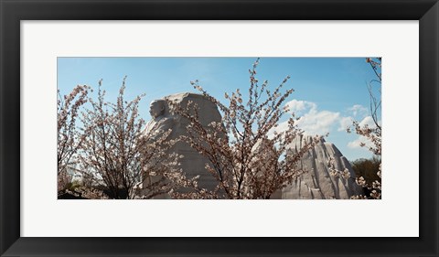 Framed Cherry trees in front of a memorial, Martin Luther King Jr. National Memorial, Washington DC, USA Print