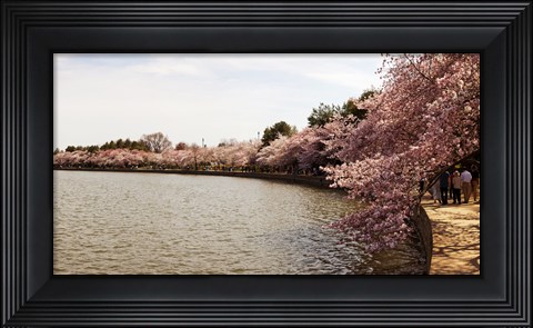 Framed Tidal Basin, Washington DC Print