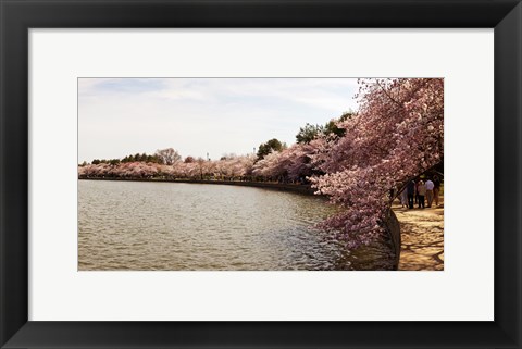 Framed Tidal Basin, Washington DC Print