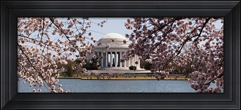 Framed Cherry Blossom trees in the Tidal Basin with the Jefferson Memorial in the background, Washington DC Print