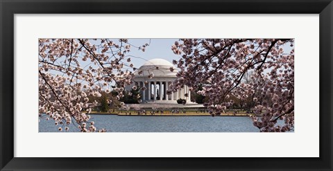 Framed Cherry Blossom trees in the Tidal Basin with the Jefferson Memorial in the background, Washington DC Print