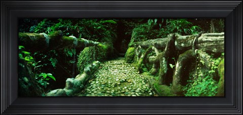 Framed Wooden bridge in the subtropical forest, Parque Lage, Jardim Botanico, Corcovado, Rio de Janeiro, Brazil Print