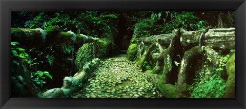 Framed Wooden bridge in the subtropical forest, Parque Lage, Jardim Botanico, Corcovado, Rio de Janeiro, Brazil Print