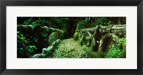 Framed Wooden bridge in the subtropical forest, Parque Lage, Jardim Botanico, Corcovado, Rio de Janeiro, Brazil Print