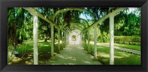 Framed Pathway in a botanical garden, Jardim Botanico, Zona Sul, Rio de Janeiro, Brazil Print