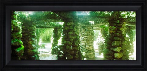 Framed Stone canopy in the botanical garden, Jardim Botanico, Zona Sul, Rio de Janeiro, Brazil Print