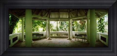 Framed Canopy in the botanical garden, Jardim Botanico, Zona Sul, Rio de Janeiro, Brazil Print