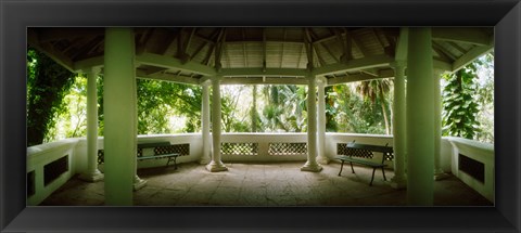 Framed Canopy in the botanical garden, Jardim Botanico, Zona Sul, Rio de Janeiro, Brazil Print