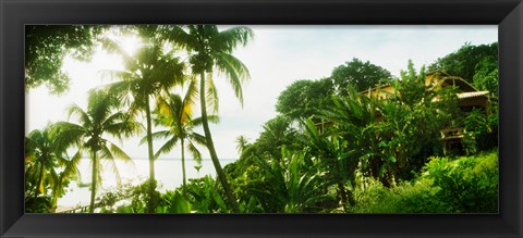 Framed Palm trees covering a small bungalow in Morro De Sao Paulo, Tinhare, Cairu, Bahia, Brazil Print