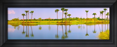 Framed Reflection of trees on water, Lake Worth, Palm Beach County, Florida, USA Print