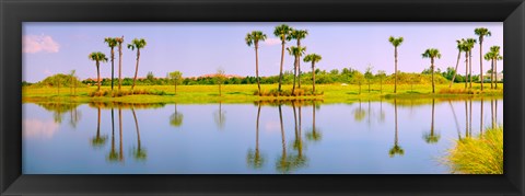 Framed Reflection of trees on water, Lake Worth, Palm Beach County, Florida, USA Print