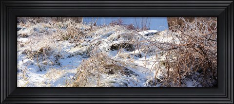 Framed Snow covered hill, Saint-Blaise-sur-Richelieu, Quebec, Canada Print