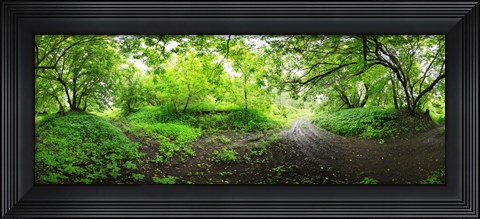 Framed Green forest, Saint-Blaise-sur-Richelieu, Quebec, Canada Print