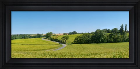 Framed Dirt road passing through a flax field, Loire-et-Cher, Loire Valley, France Print