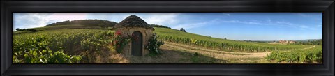 Framed Beaujolais vineyard, Saules, Saone-Et-Loire, Burgundy, France Print