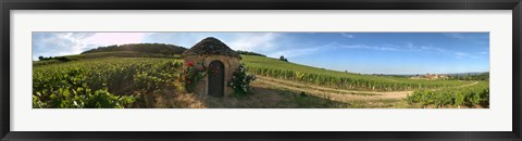 Framed Beaujolais vineyard, Saules, Saone-Et-Loire, Burgundy, France Print
