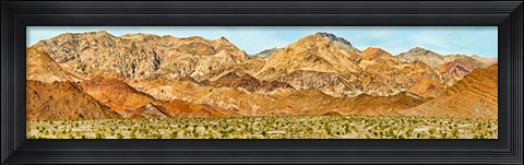Framed Bushes in a desert with mountain range in the background, Death Valley, Death Valley National Park, California Print