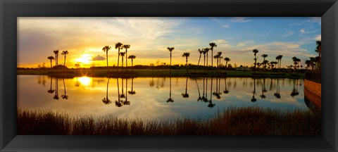 Framed Reflection of trees in water at sunset, Lake Worth, Palm Beach County, Florida, USA Print