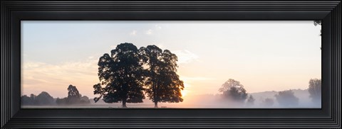 Framed Trees at sunrise, USK Valley, South Wales, Wales Print