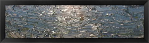 Framed High angle view of water filled rice paddy, Yuanyang County, Honghe Prefecture, Yunnan Province, China Print