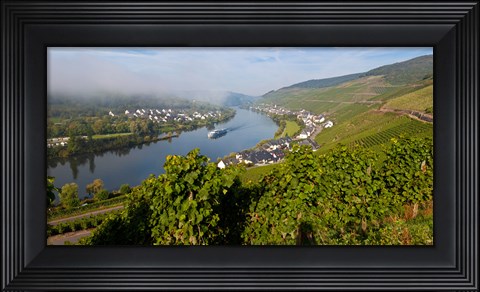 Framed Vineyards with village at riverfront, Mosel River, Kaimt Mosel Village, Mosel Valley, Rhineland-Palatinate, Germany Print