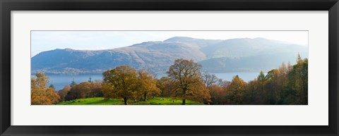 Framed Autumn trees with mountains in background, Derwent Water, Lake District National Park, Cumbria, England Print