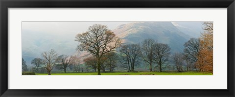 Framed Autumn trees with mountain in the background, Langdale, Lake District National Park, Cumbria, England Print