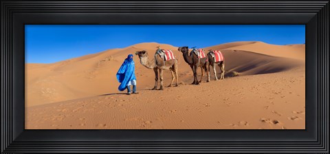 Framed Tuareg man leading camel train in desert, Erg Chebbi Dunes, Sahara Desert, Morocco Print