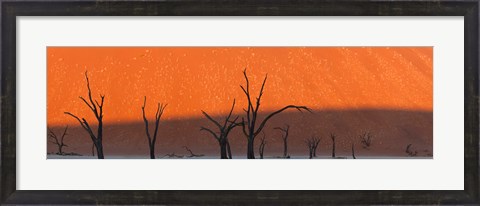 Framed Dead trees in dry clay pan, Dead Vlei, Sossusvlei, Namib-Naukluft National Park, Namibia Print